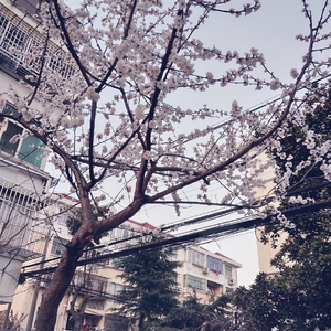 扒开胡桃❌狂揉❌难受
